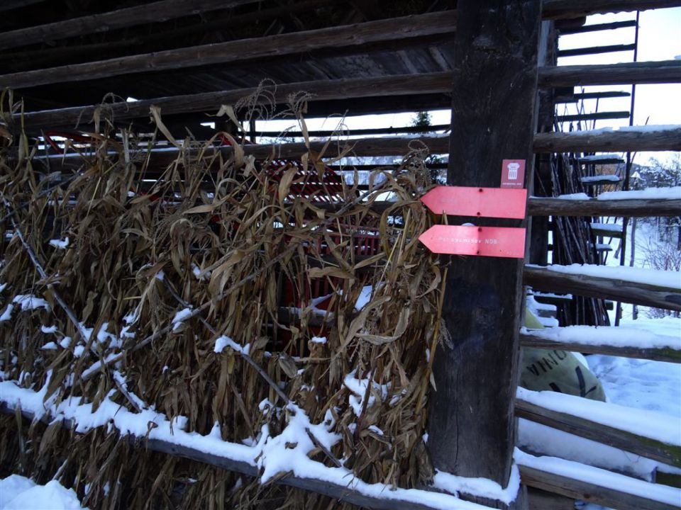 HRASTNIK-GORE-KOPITNIK-RIMSKE TOPLICE, 2012 - foto povečava