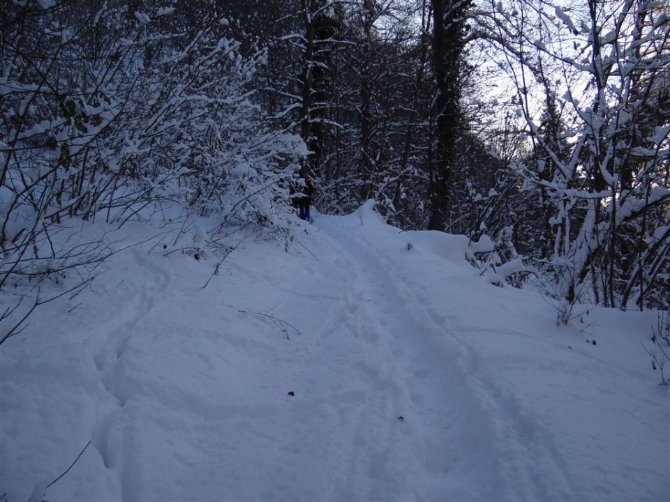 HRASTNIK-GORE-KOPITNIK-RIMSKE TOPLICE, 2012 - foto povečava