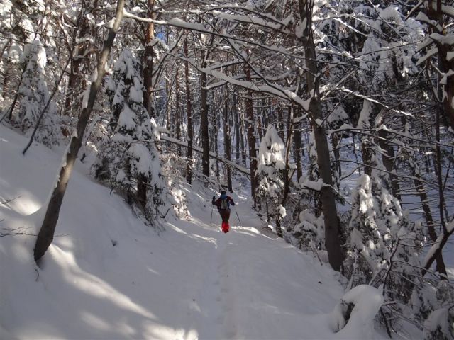 HRASTNIK-GORE-KOPITNIK-RIMSKE TOPLICE, 2012 - foto