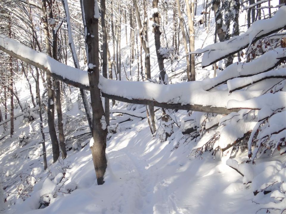 HRASTNIK-GORE-KOPITNIK-RIMSKE TOPLICE, 2012 - foto povečava