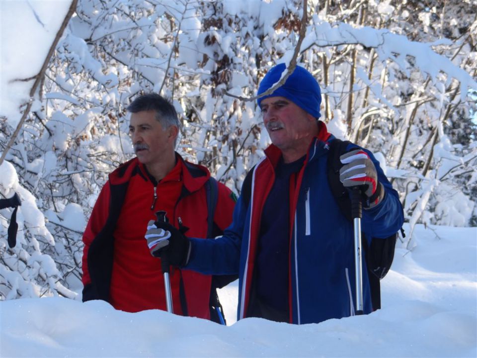 HRASTNIK-GORE-KOPITNIK-RIMSKE TOPLICE, 2012 - foto povečava