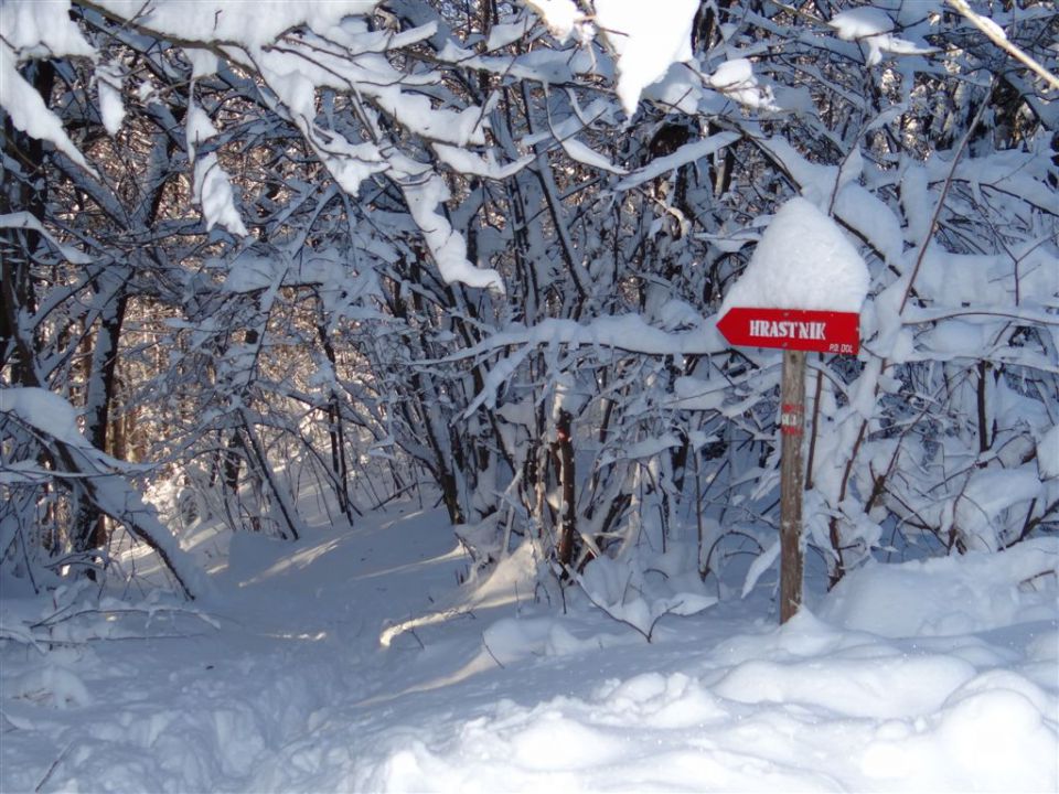 HRASTNIK-GORE-KOPITNIK-RIMSKE TOPLICE, 2012 - foto povečava