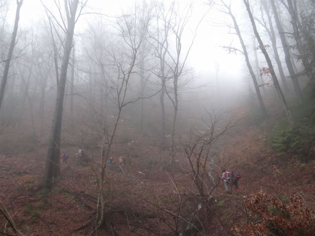 LAŠKO-MALIČ-ŠMOHOR-ZABAVA - foto