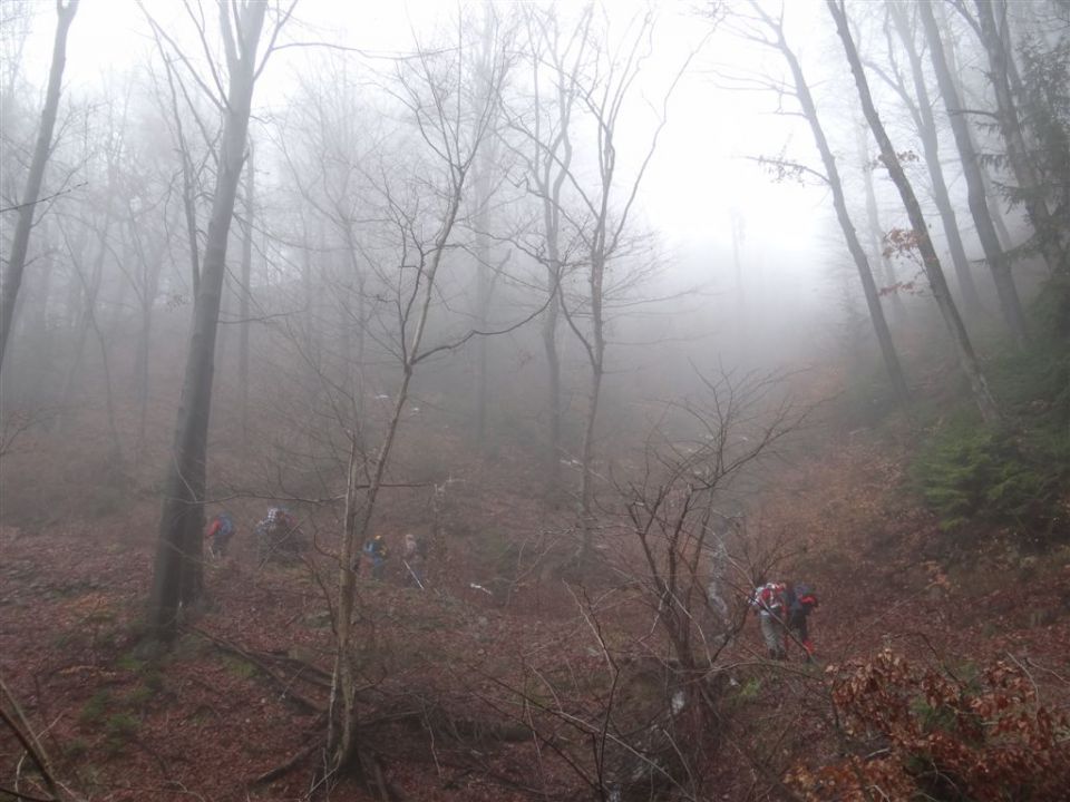 LAŠKO-MALIČ-ŠMOHOR-ZABAVA - foto povečava