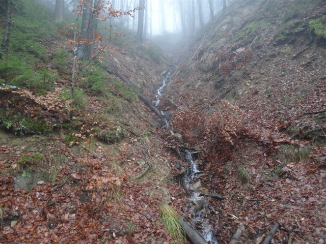 LAŠKO-MALIČ-ŠMOHOR-ZABAVA - foto