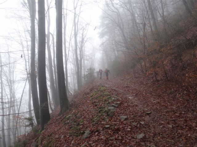 LAŠKO-MALIČ-ŠMOHOR-ZABAVA - foto