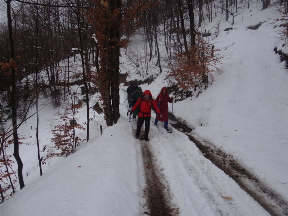 JEVNICA - JANČE (794 m) - LITIJA - foto povečava