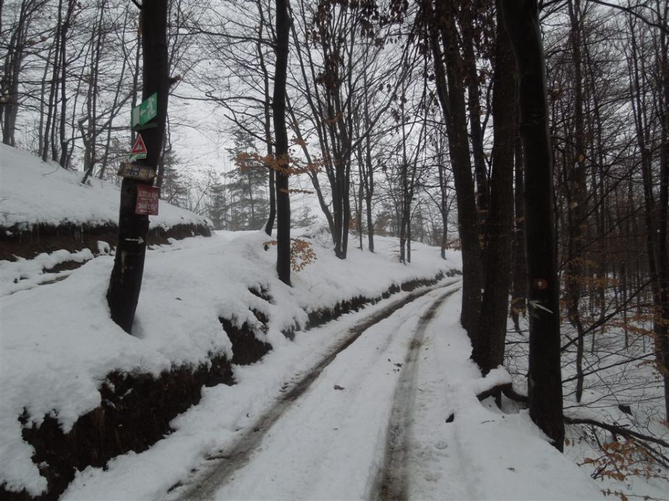 JEVNICA - JANČE (794 m) - LITIJA - foto povečava