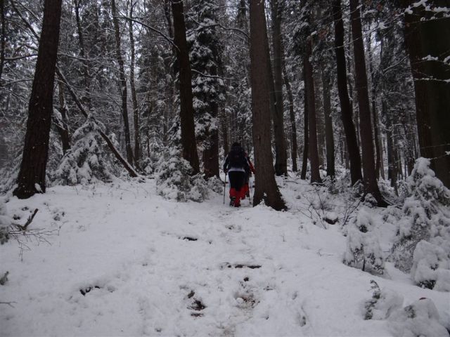 ŽEKOVEC - GOLTE, 1573 m, 2013 - foto