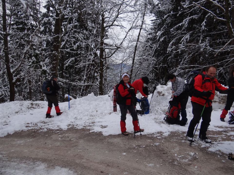 ŽEKOVEC - GOLTE, 1573 m, 2013 - foto povečava