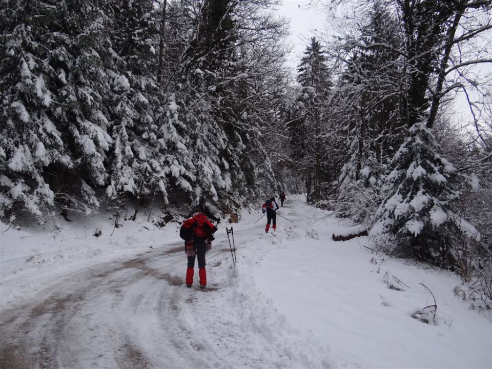 ŽEKOVEC - GOLTE, 1573 m, 2013 - foto povečava