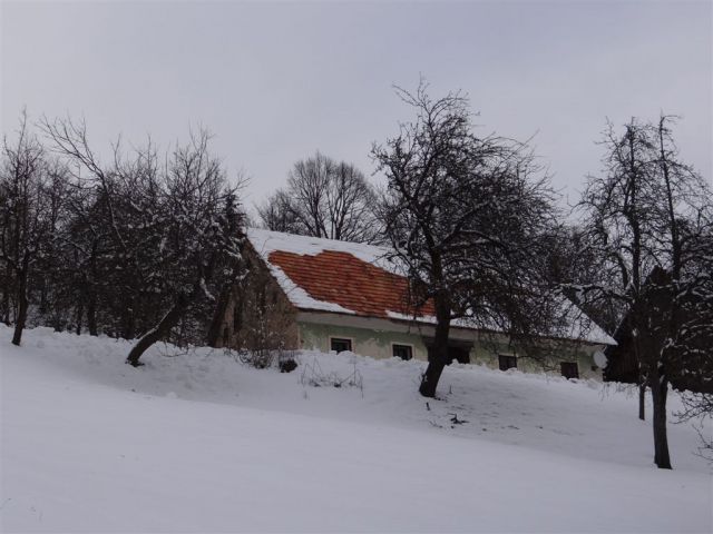 ŽEKOVEC - GOLTE, 1573 m, 2013 - foto