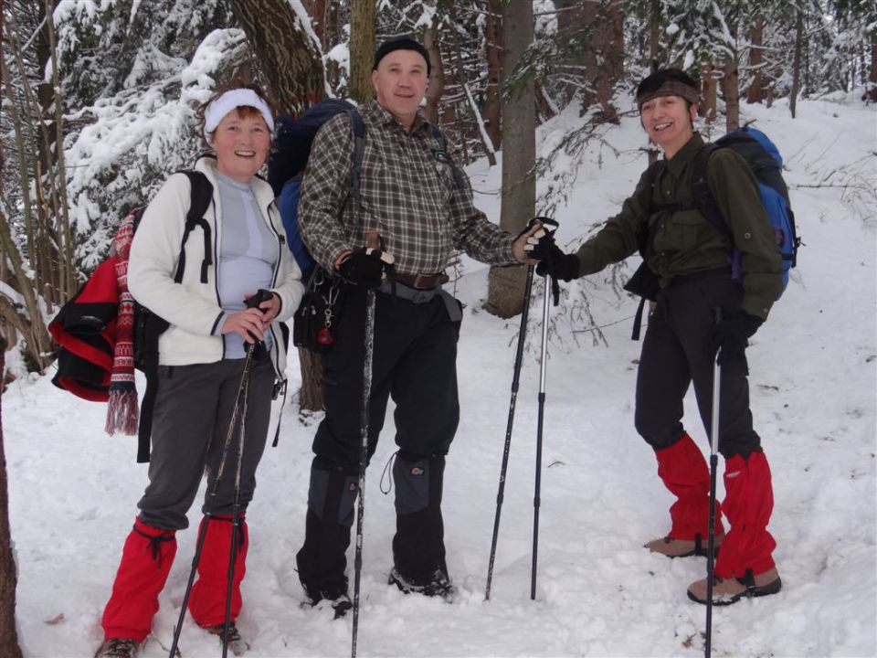 ŽEKOVEC - GOLTE, 1573 m, 2013 - foto povečava