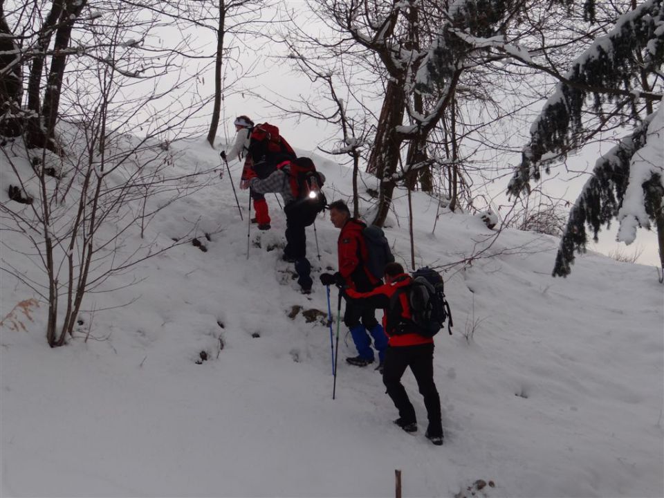 ŽEKOVEC - GOLTE, 1573 m, 2013 - foto povečava