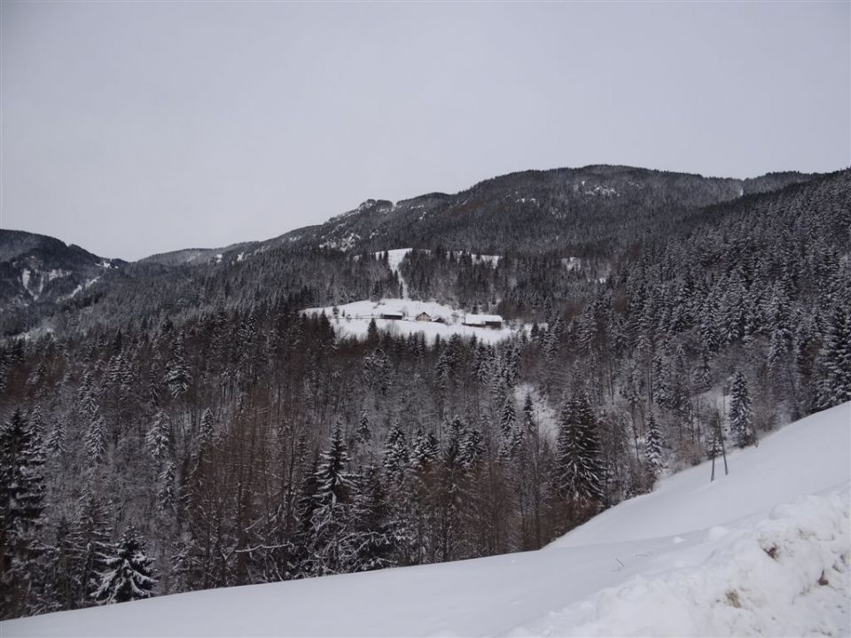 ŽEKOVEC - GOLTE, 1573 m, 2013 - foto povečava