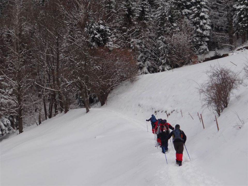 ŽEKOVEC - GOLTE, 1573 m, 2013 - foto povečava