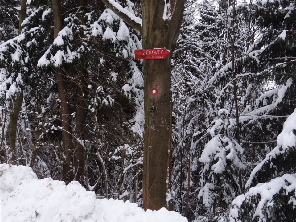 ŽEKOVEC - GOLTE, 1573 m, 2013 - foto povečava