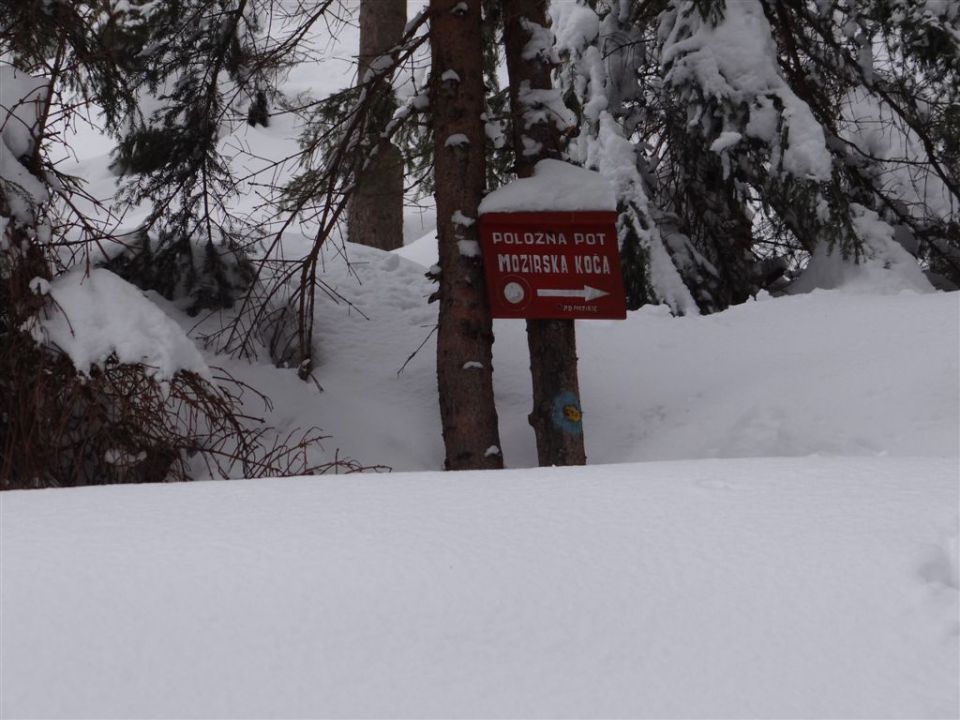 ŽEKOVEC - GOLTE, 1573 m, 2013 - foto povečava