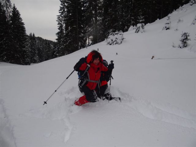 ŽEKOVEC - GOLTE, 1573 m, 2013 - foto