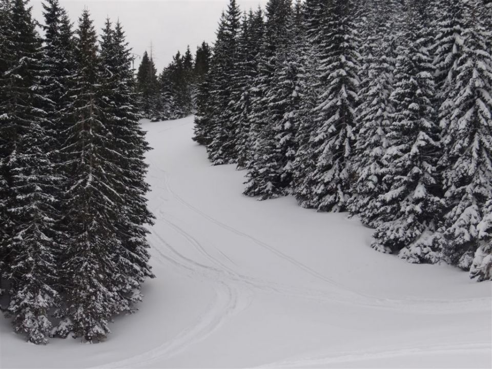 ŽEKOVEC - GOLTE, 1573 m, 2013 - foto povečava