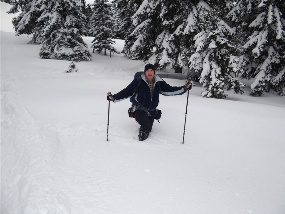 ŽEKOVEC - GOLTE, 1573 m, 2013 - foto povečava