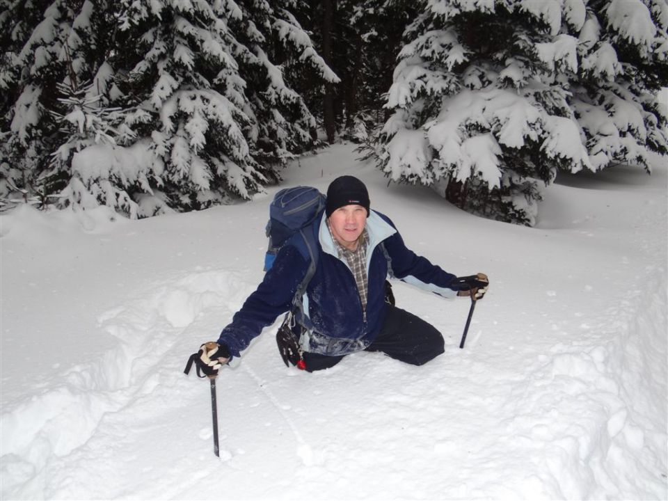 ŽEKOVEC - GOLTE, 1573 m, 2013 - foto povečava