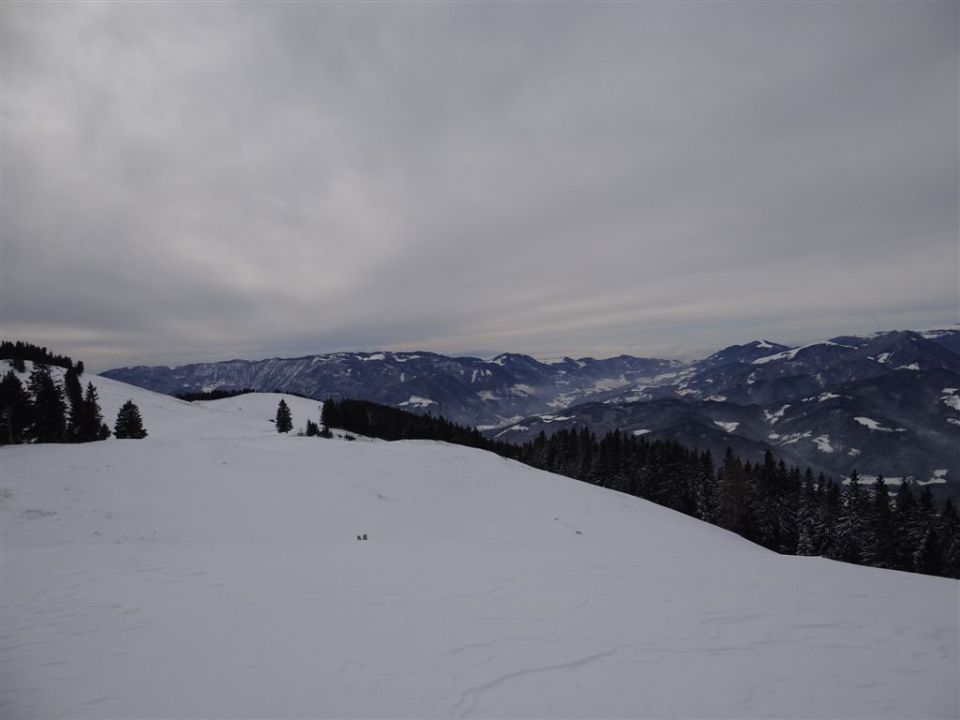 ŽEKOVEC - GOLTE, 1573 m, 2013 - foto povečava