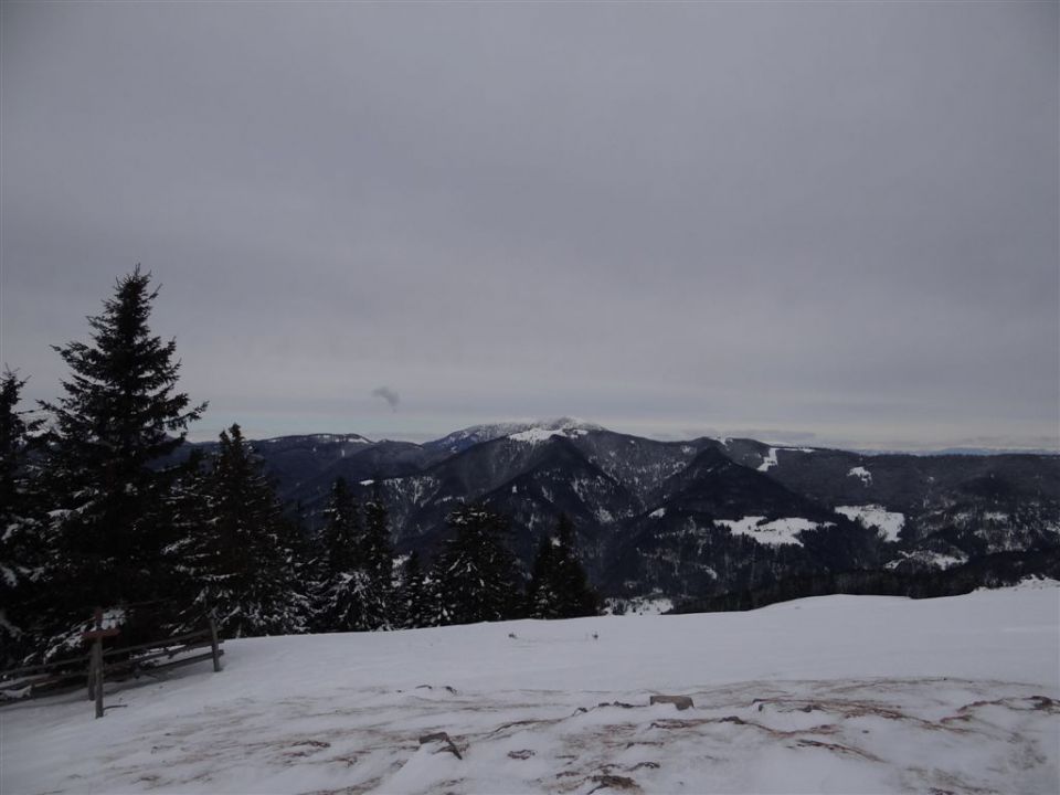 ŽEKOVEC - GOLTE, 1573 m, 2013 - foto povečava