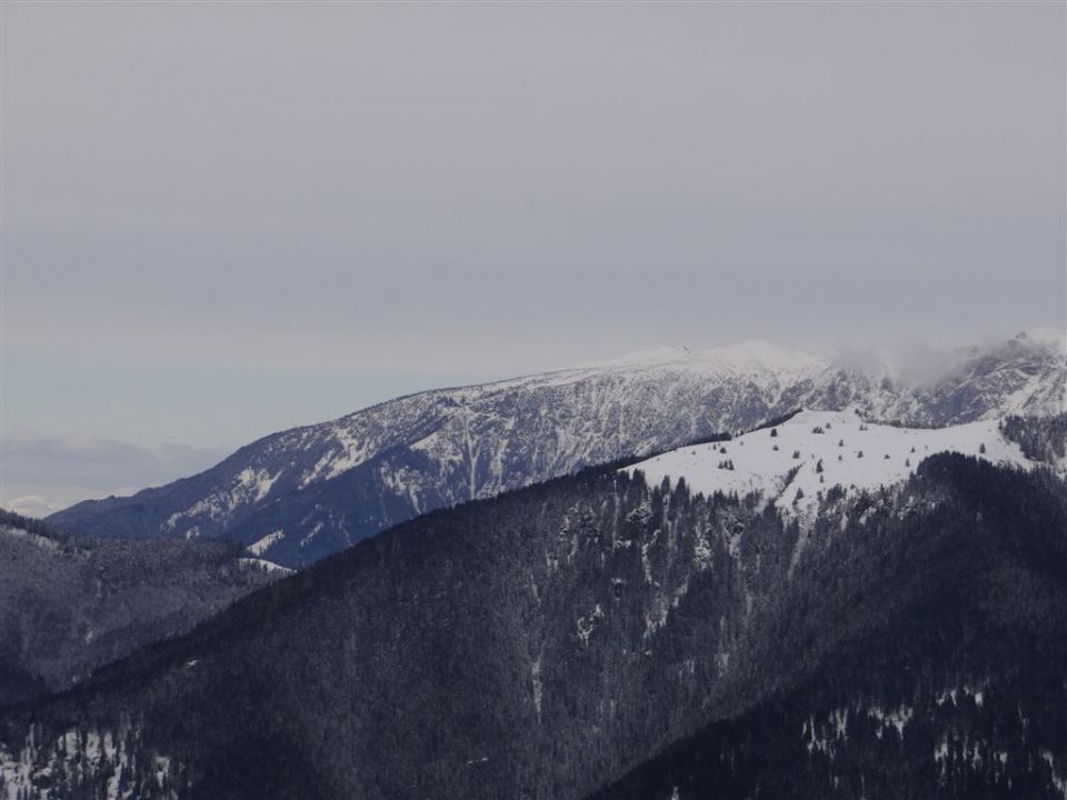 ŽEKOVEC - GOLTE, 1573 m, 2013 - foto povečava