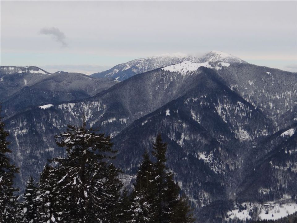 ŽEKOVEC - GOLTE, 1573 m, 2013 - foto povečava