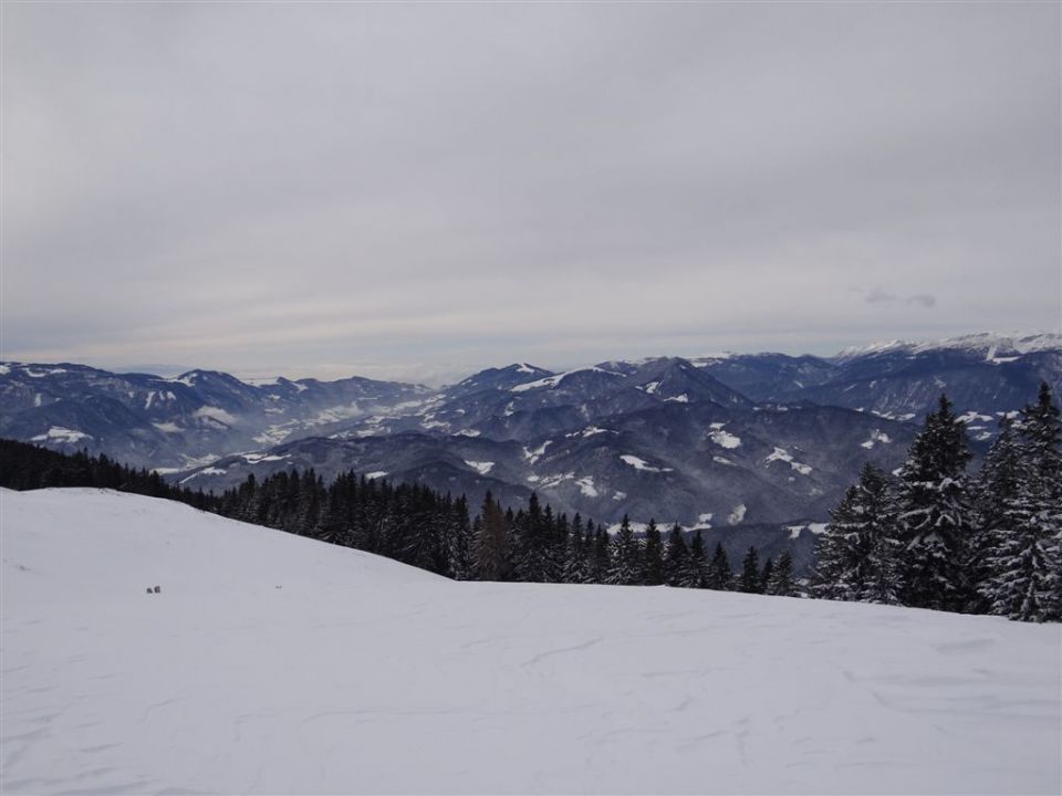 ŽEKOVEC - GOLTE, 1573 m, 2013 - foto povečava