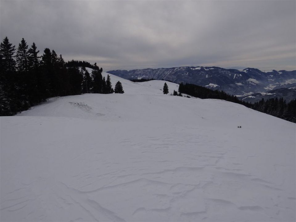 ŽEKOVEC - GOLTE, 1573 m, 2013 - foto povečava