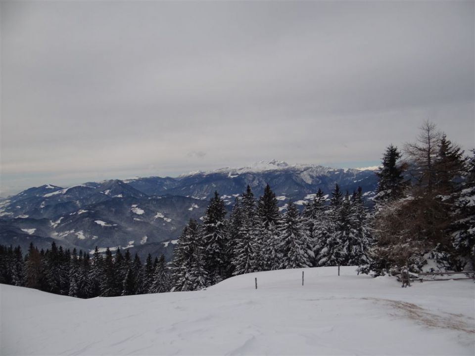 ŽEKOVEC - GOLTE, 1573 m, 2013 - foto povečava