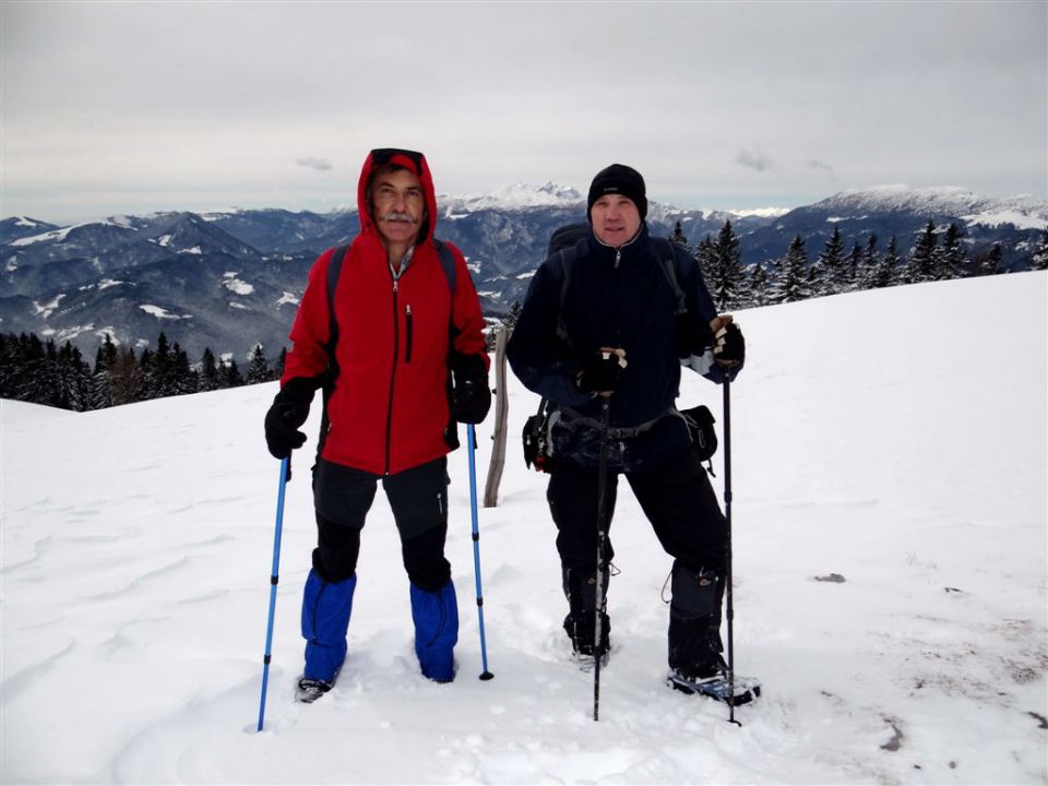 ŽEKOVEC - GOLTE, 1573 m, 2013 - foto povečava