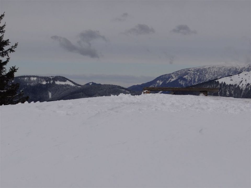 ŽEKOVEC - GOLTE, 1573 m, 2013 - foto povečava