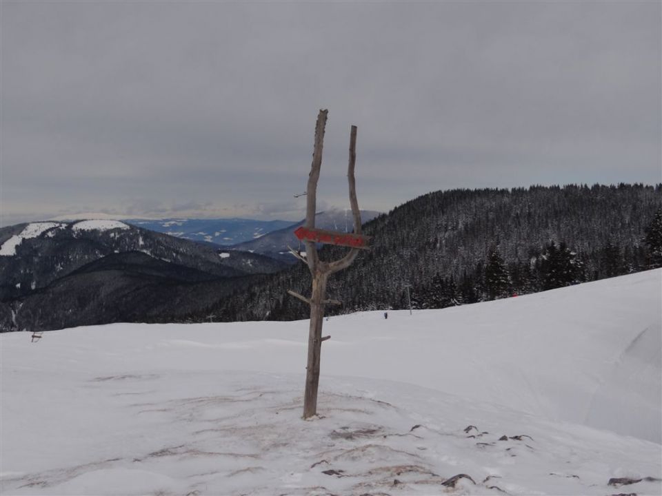 ŽEKOVEC - GOLTE, 1573 m, 2013 - foto povečava