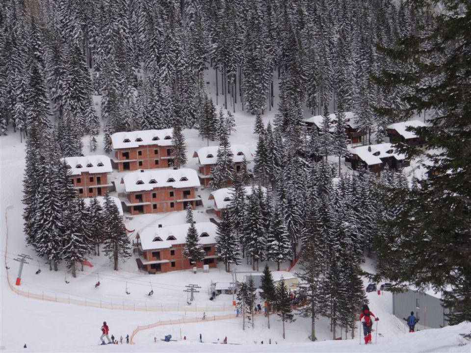 ŽEKOVEC - GOLTE, 1573 m, 2013 - foto povečava