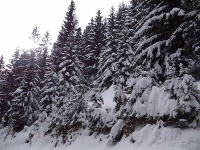 ŽEKOVEC - GOLTE, 1573 m, 2013 - foto
