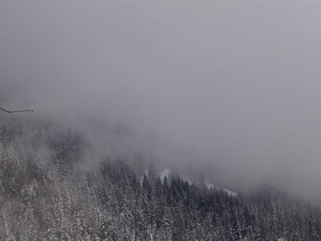 ŽEKOVEC - GOLTE, 1573 m, 2013 - foto