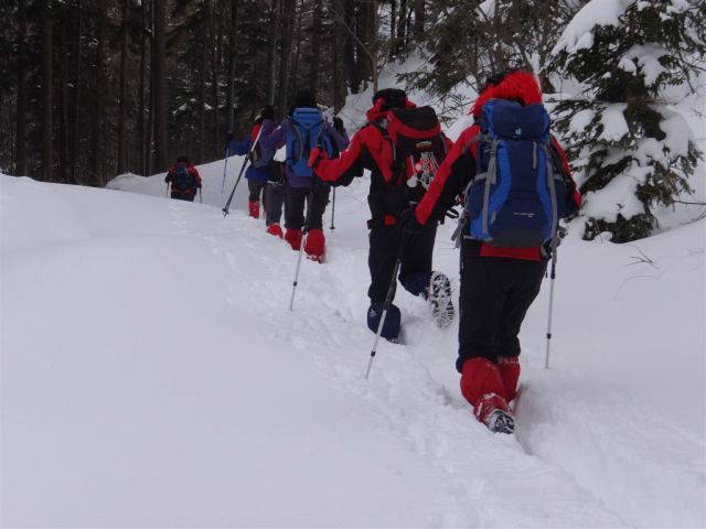 ŽEKOVEC - GOLTE, 1573 m, 2013 - foto