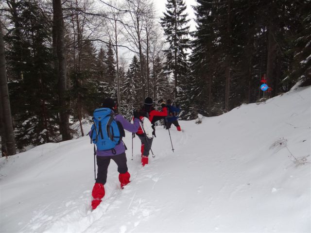 ŽEKOVEC - GOLTE, 1573 m, 2013 - foto