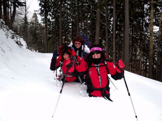 ŽEKOVEC - GOLTE, 1573 m, 2013 - foto