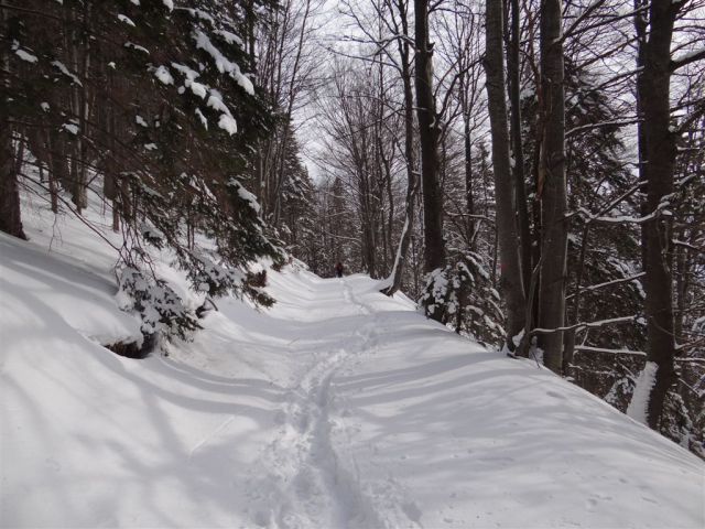 ŽEKOVEC - GOLTE, 1573 m, 2013 - foto