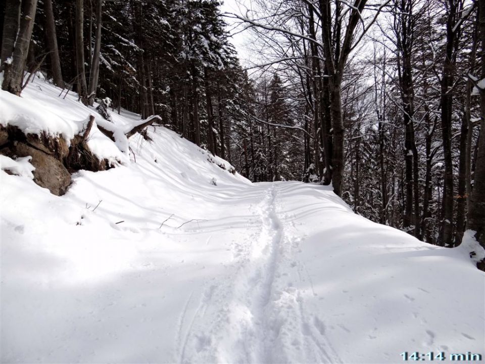 ŽEKOVEC - GOLTE, 1573 m, 2013 - foto povečava