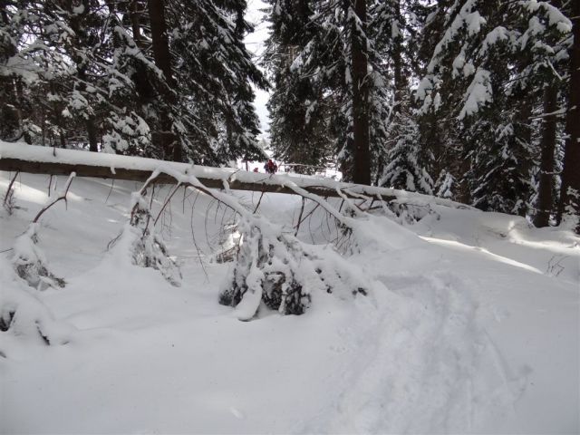 ŽEKOVEC - GOLTE, 1573 m, 2013 - foto
