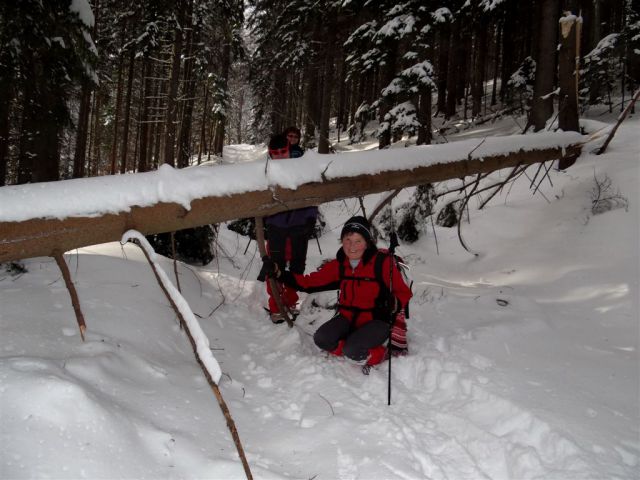 ŽEKOVEC - GOLTE, 1573 m, 2013 - foto