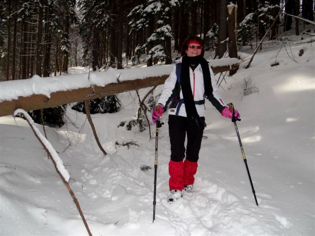 ŽEKOVEC - GOLTE, 1573 m, 2013 - foto