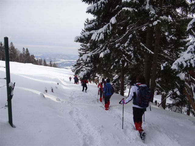 ŽEKOVEC - GOLTE, 1573 m, 2013 - foto