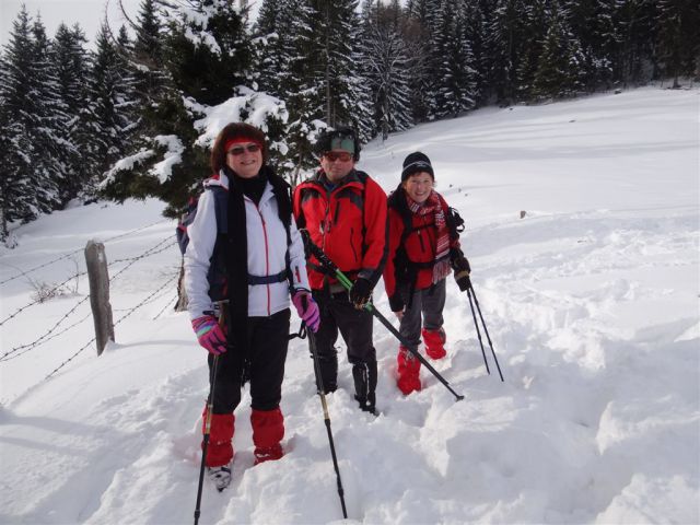 ŽEKOVEC - GOLTE, 1573 m, 2013 - foto
