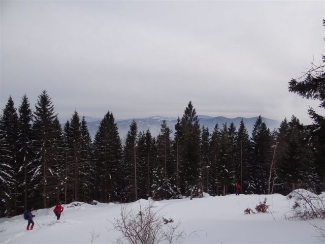 ŽEKOVEC - GOLTE, 1573 m, 2013 - foto